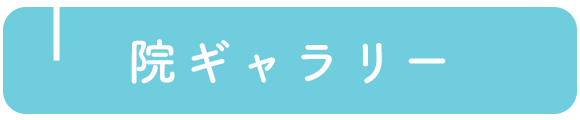 院ギャラリー